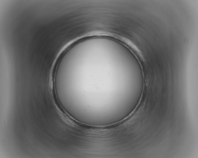 X0000112841372200908210950