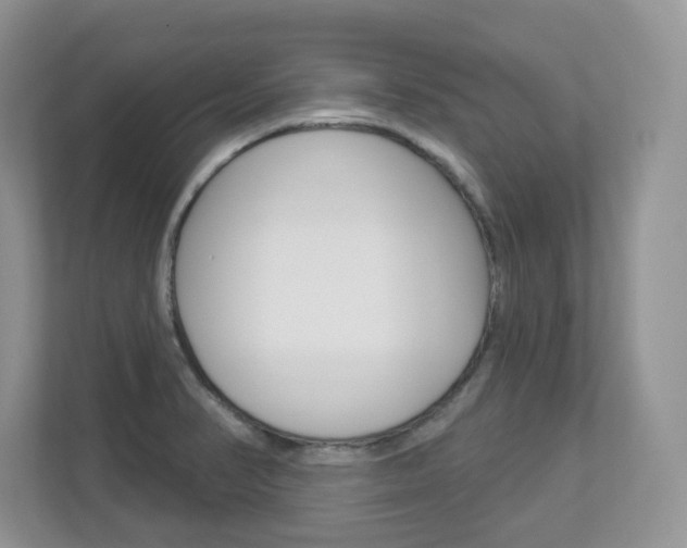 X0000112841374200908210950