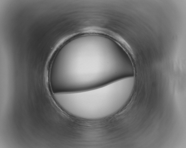 X0000112841376200908210950