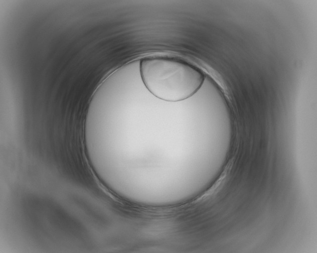 X0000112841377200908210950