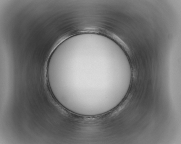 X0000112841378200908210950