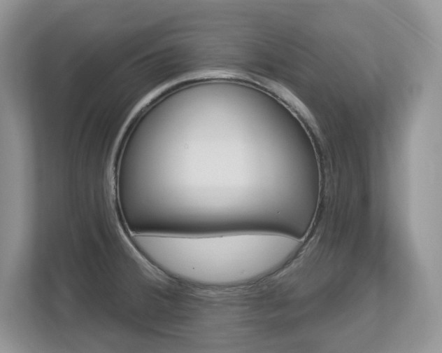 X0000112841380200908210950
