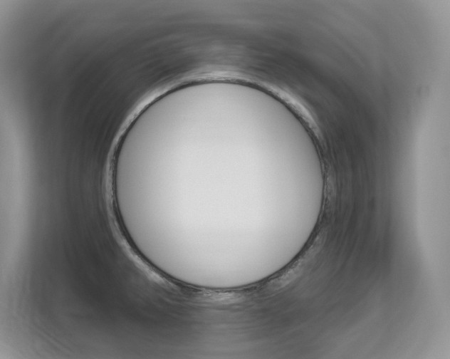 X0000112841382200908210950