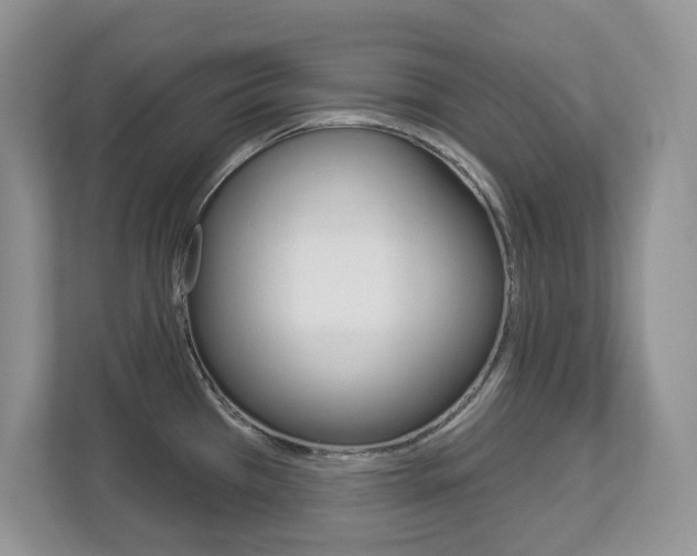 X0000112841385200908210950