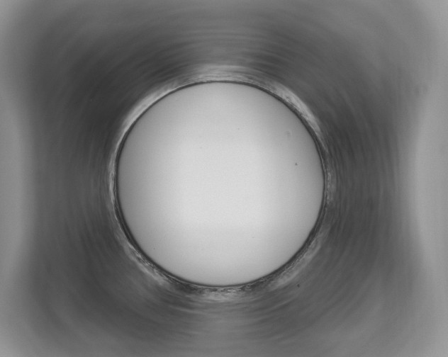 X0000112841386200908210950