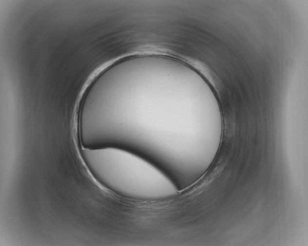 X0000112841387200908210950