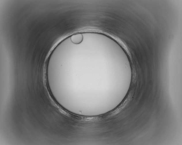 X0000112841390200908210950