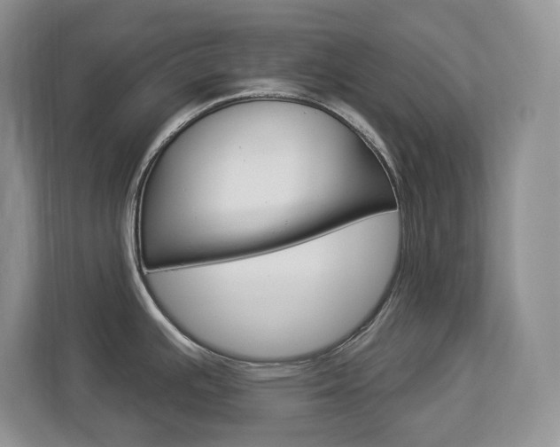 X0000112841391200908210950