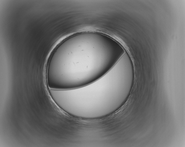 X0000112841392200908210950