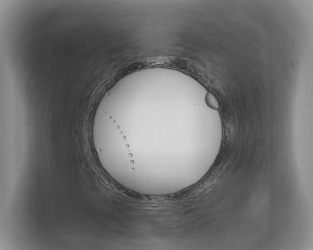 X0000112841393200908210949