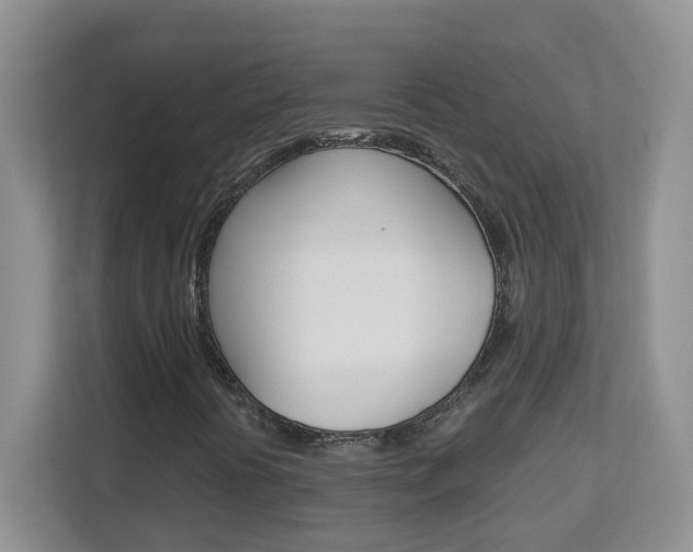 X0000112841394200908210949