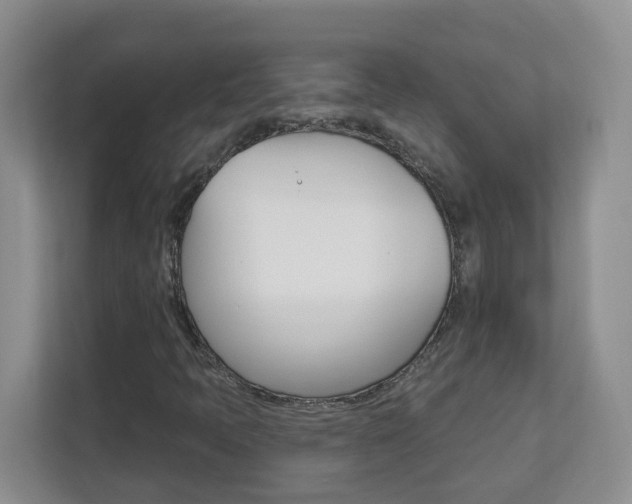 X0000112841397200908210949
