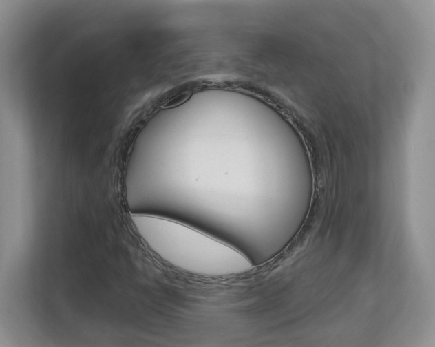 X0000112841398200908210949