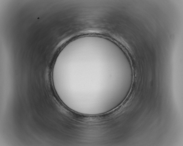 X0000112841404200908210949
