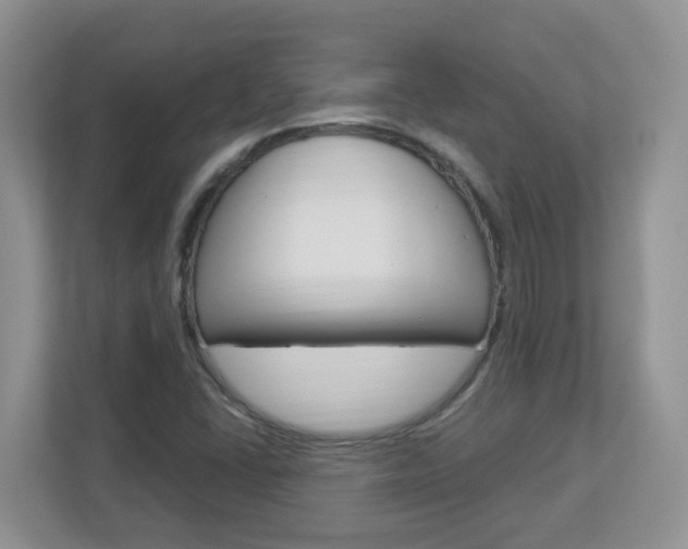 X0000112841406200908210949