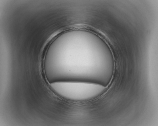 X0000112841410200908210949