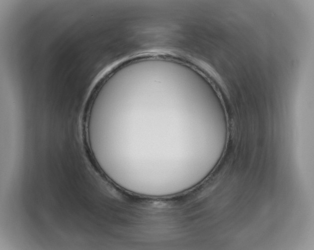 X0000112841412200908210949