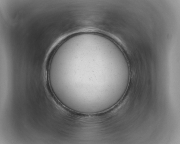 X0000112841414200908210949