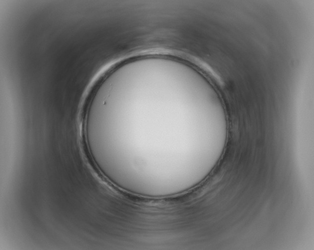 X0000112841416200908210949
