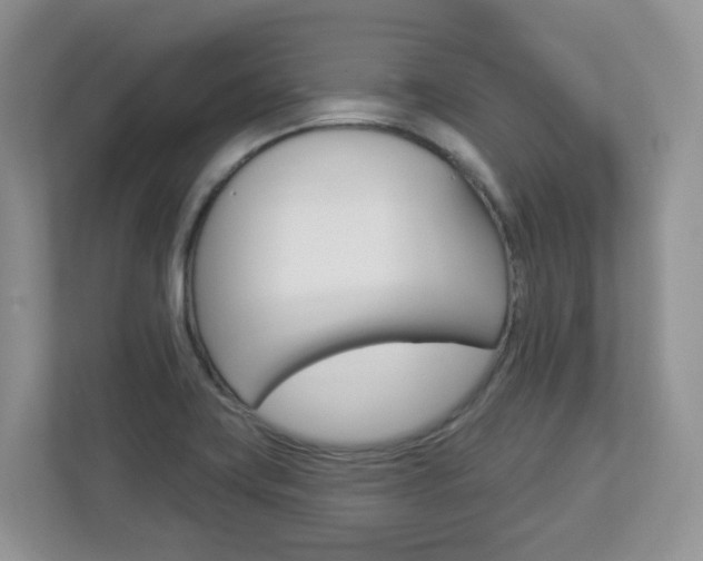 X0000112841419200908210950