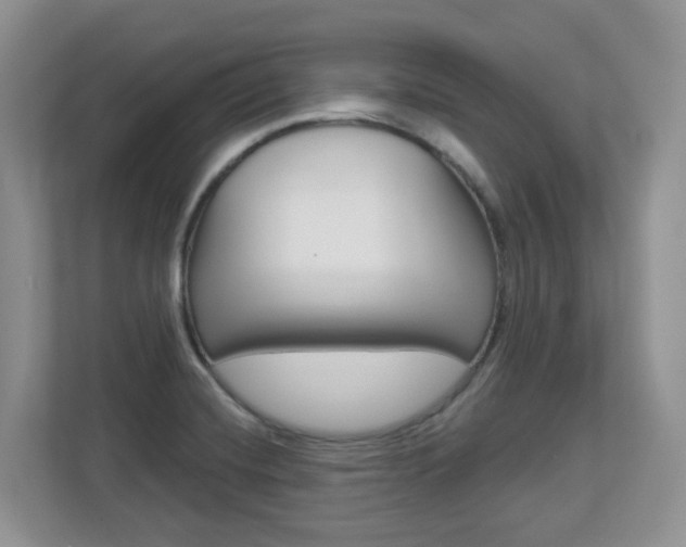 X0000112841420200908210950
