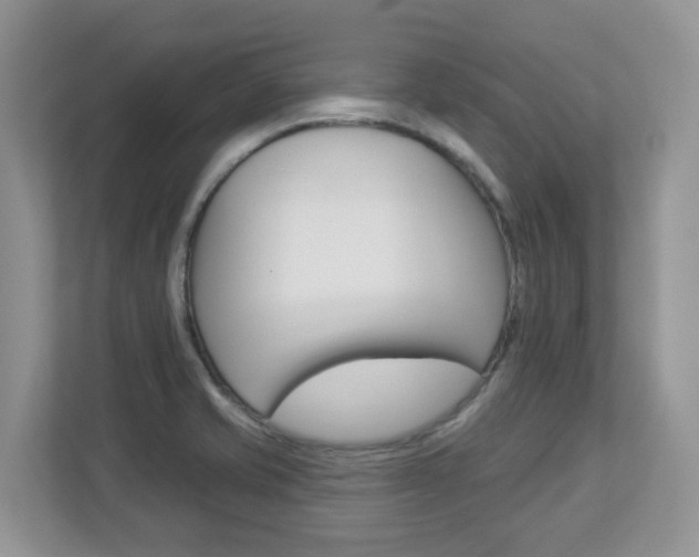 X0000112841421200908210950