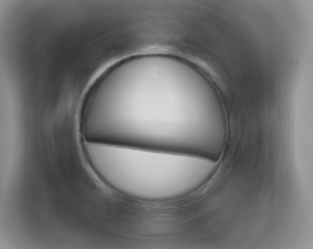 X0000112841422200908210950