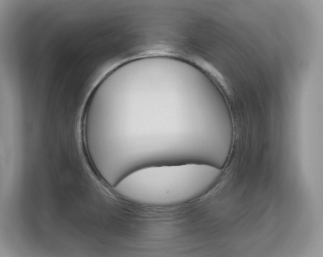 X0000112841423200908210950
