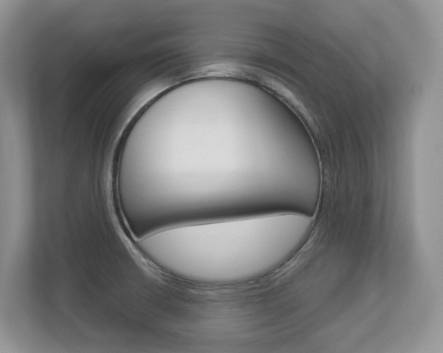 X0000112841426200908210950