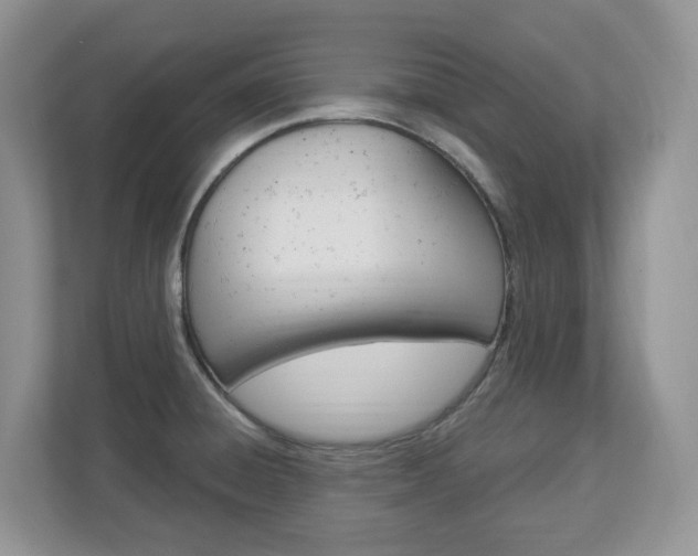 X0000112841428200908210950