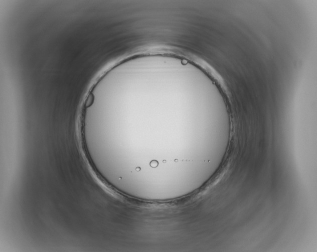 X0000112841429200908210950