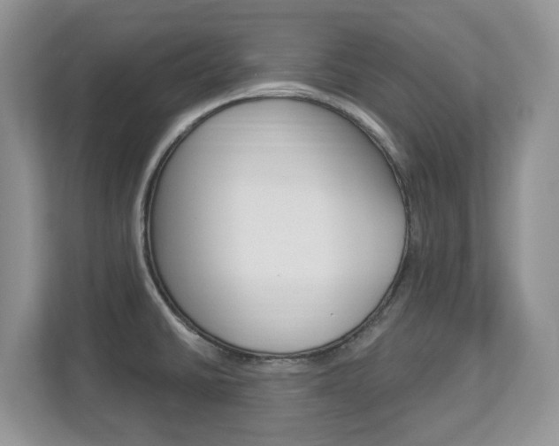 X0000112841430200908210950