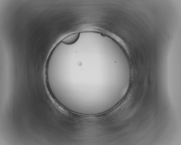 X0000112841431200908210950