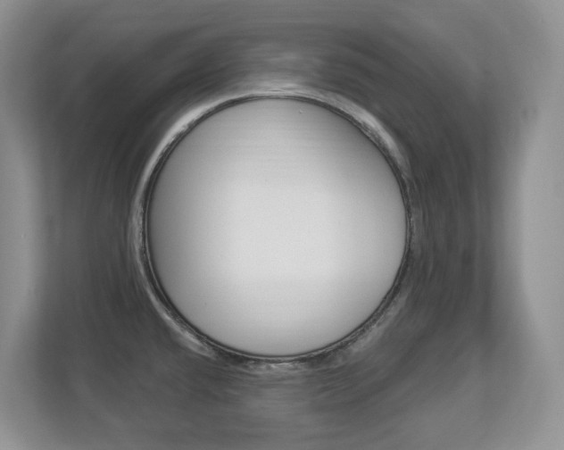X0000112841432200908210950