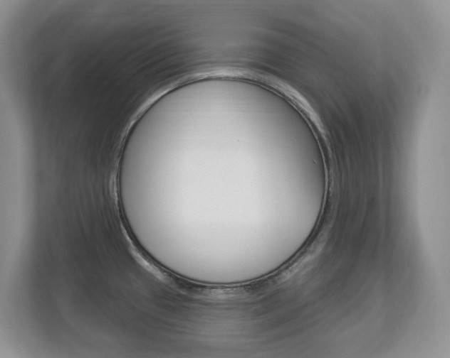 X0000112841433200908210950