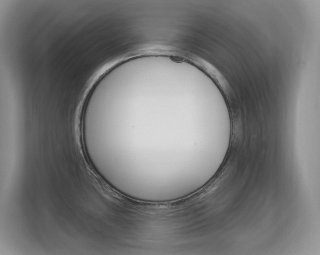 X0000112841435200908210950