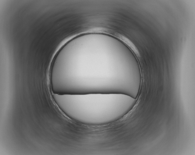 X0000112841436200908210950