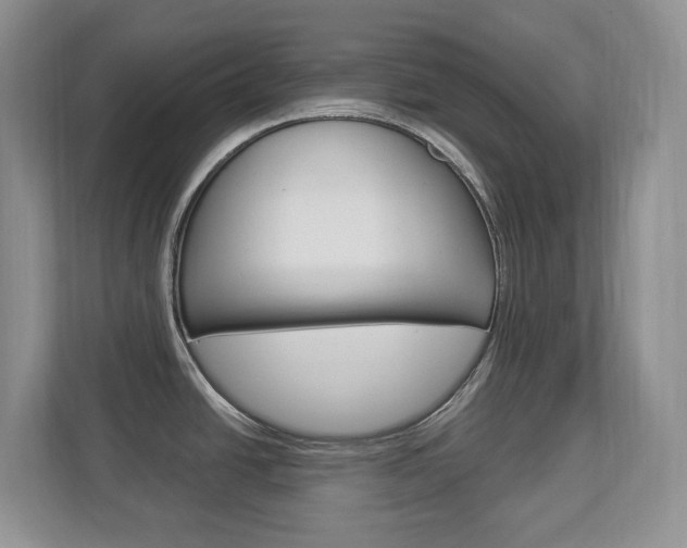 X0000112841438200908210950