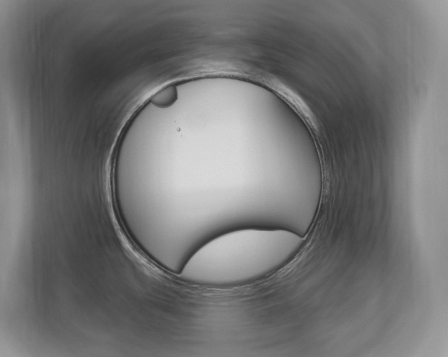 X0000112841439200908210950