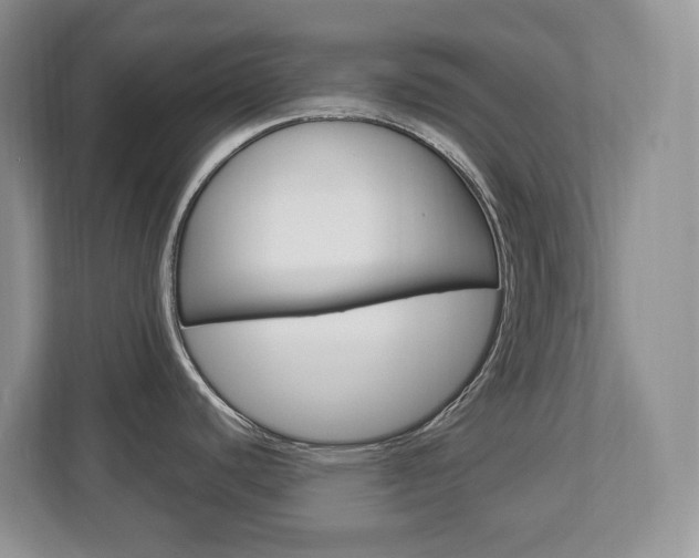 X0000112841440200908210950