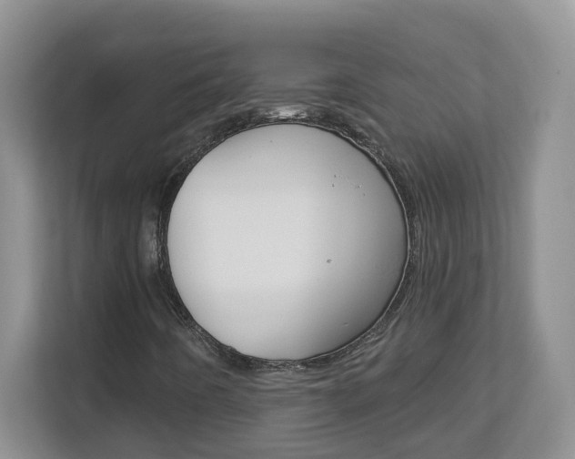 X0000112841442200908210949