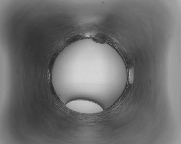 X0000112841443200908210949