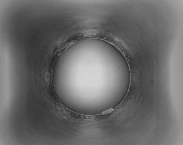 X0000112841445200908210949