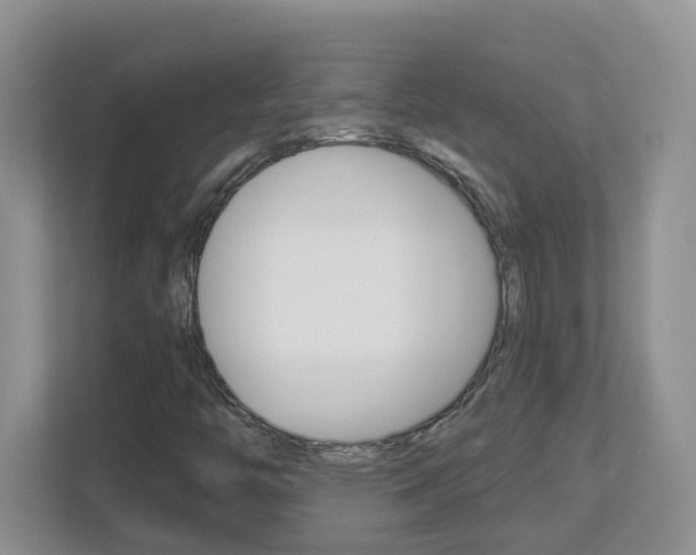 X0000112841446200908210949