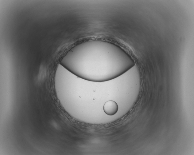 X0000112841447200908210949