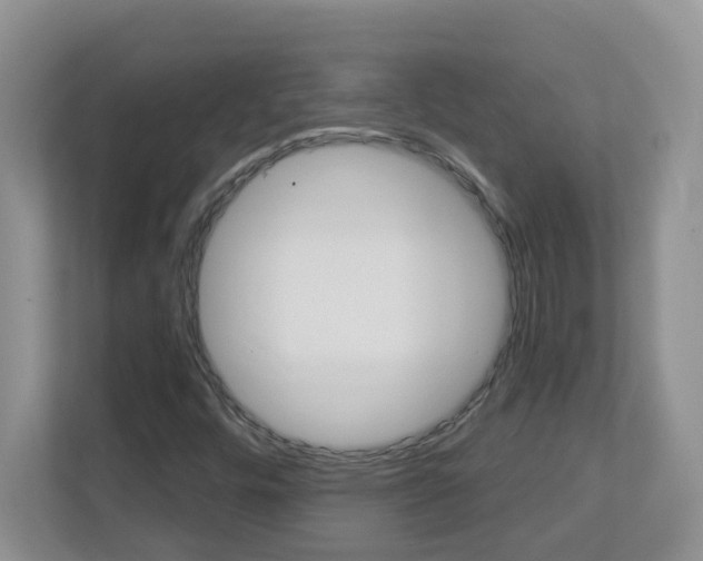 X0000112841448200908210949