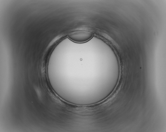 X0000112841450200908210949