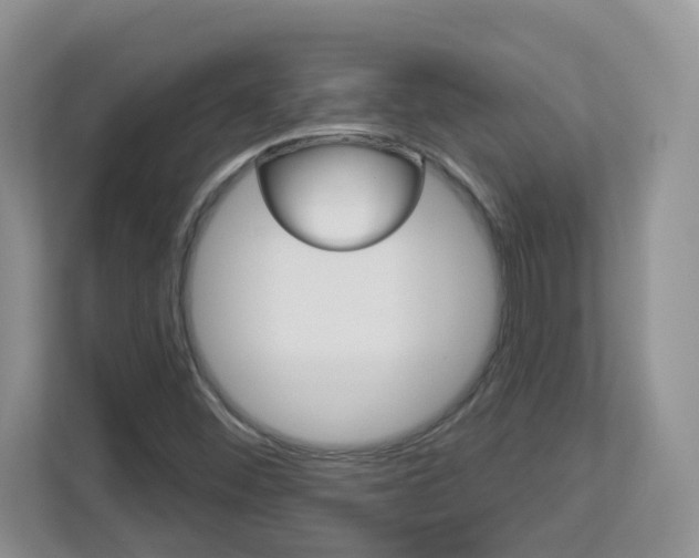 X0000112841452200908210949
