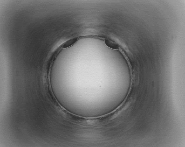 X0000112841453200908210949