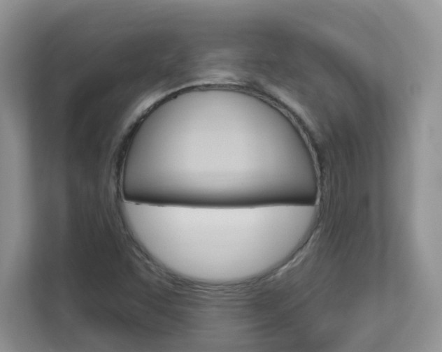 X0000112841455200908210949